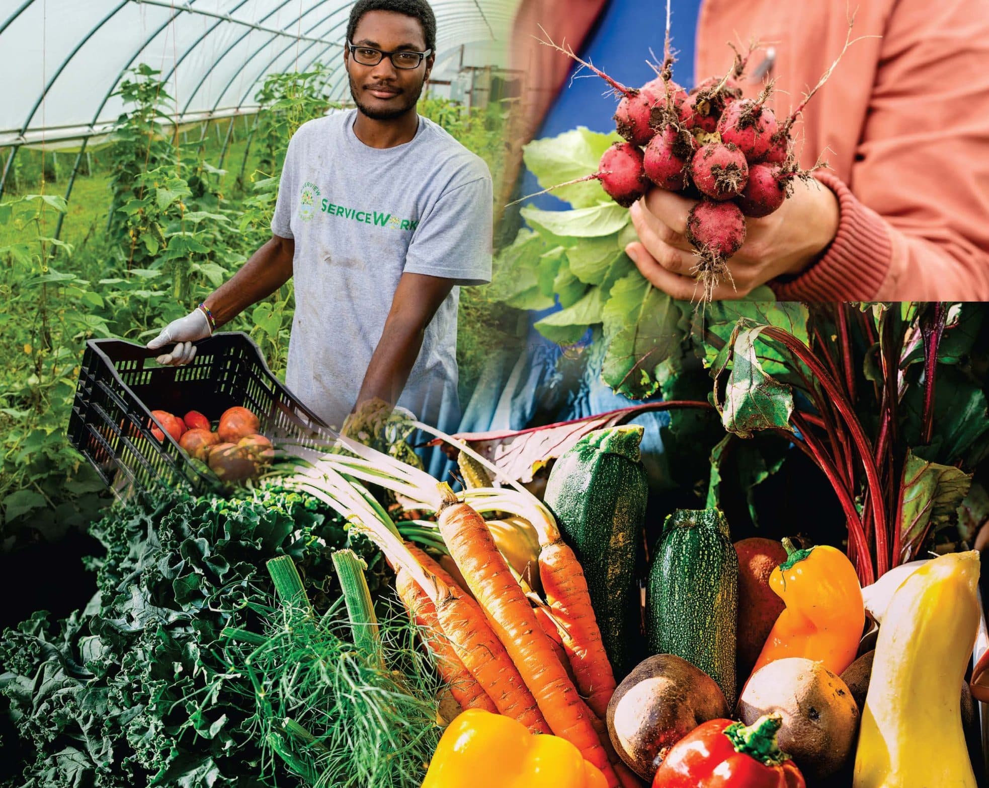 Revolutionizing African Agriculture: How Technology is Transforming Small-Scale Farming