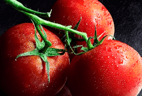 Organic Tomatoes